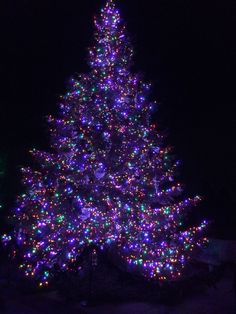 a large christmas tree is lit up with multicolored lights in the night sky