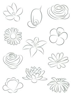 a bunch of different flowers that are drawn in one line and each flower has its own image on it