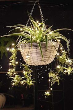 a hanging basket with lights and plants in it