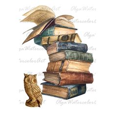 an owl sitting on top of a stack of books