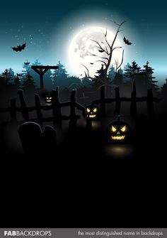 halloween night with pumpkins and bats in the cemetery