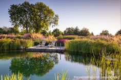 a dock in the middle of a lake surrounded by tall grass and wildflowers