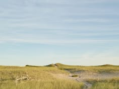 a grassy field with a dirt path leading to the sand dunes and grass on either side