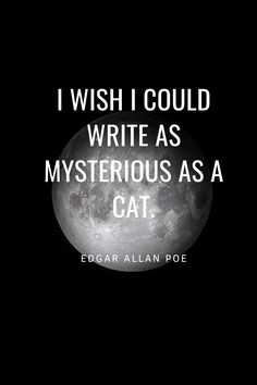 a black and white photo with the words i wish i could write as mysterious as a cat