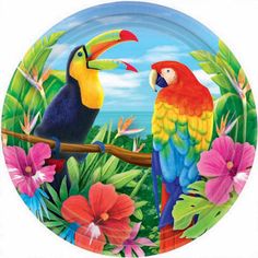 a paper plate with two colorful birds on it