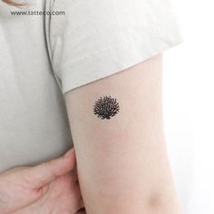 a woman's arm with a small tree tattoo on the back of her left arm