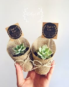 two small succulents are wrapped in burlock and tied with twine