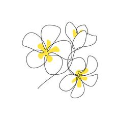 three yellow flowers on a white background with space for your text or image, hand drawn doodle style