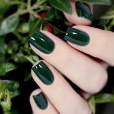 Greenwood Solid Deep Hunter Green Creme Nail Polish Earthy | Etsy Nail Parlour, Manicured Nails, Green Nail, Her Nails, Dipped Nails, Chic Nails, Fancy Nails