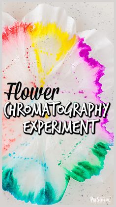 the words flower chromatograph experiment written in black ink on a white paper plate