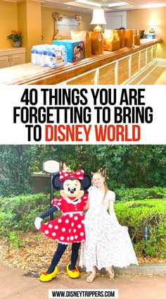 40 Things You Are Forgetting to Bring to Disney World Packing For Disney World In October, What To Wear To Disney World In November, Disney World Lunch Packing, Disney Grocery Delivery List, Things To Bring To Disney World, What To Bring To Disney World, Disney Packing List Families, Disney October