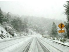 a snow covered road with two yellow signs on it's sides and trees in the background