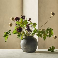 a vase filled with lots of flowers sitting on top of a table next to a window