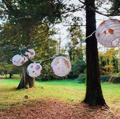 some paper lanterns hanging from a tree in a park with grass and trees behind them