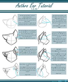 how to draw an animal's face with the help of a pencil and paper