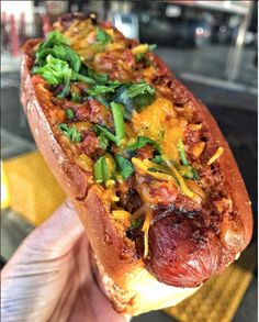 a hand holding a hot dog with toppings on it