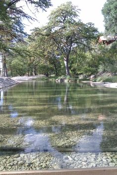 the water is calm and clear in this park area with rocks on the ground, trees, and grass