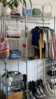 a rack filled with shoes and handbags next to a potted plant in a room