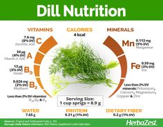 a poster showing different types of dill nutrition