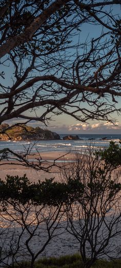 the beach is covered in sand and trees