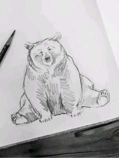 Brown Bear Sketch, Bear Sketch Cute, Fun Animals To Draw, Bear Sketch Drawing, Drawing Ideas Animals Sketches Pencil, Detailed Animal Drawings, Sketch Book Animals, How To Draw A Animal, Art Sketchbook Animals