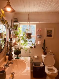 a bathroom with potted plants hanging from the ceiling and a toilet in the corner