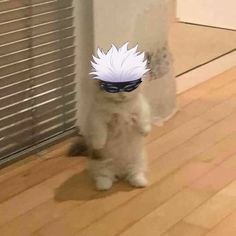 a small white cat standing on its hind legs in front of a window with a blue mask on it's face