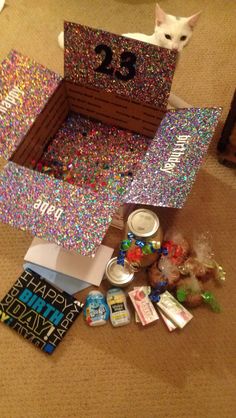 a cat is sitting on the floor in front of a birthday cake box with sprinkles