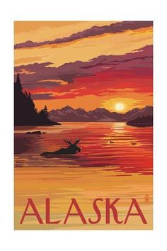 the alaska denali national park poster is shown in red, orange and yellow colors