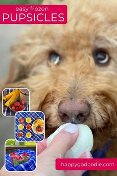 a person feeding a dog with food in it's mouth and the words easy frozen pupsices above them