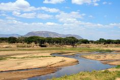 a river running through a dry grass covered field