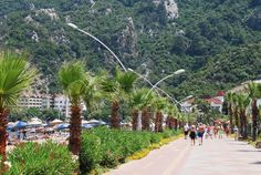 palm trees line the side of a road with people walking on it and mountains in the background