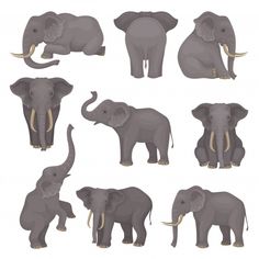 elephants in different positions and sizes - animals characters