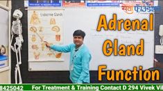 Adrenal Gland, India Book, Train, Books