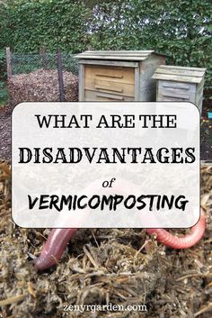 the words what are the disadvantages of vermicomposting