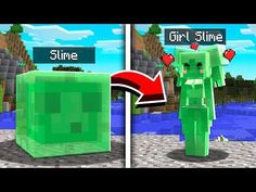 an image of the same character in minecraft, and that is how it looks like