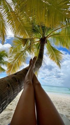 a person laying in a hammock on the beach under a palm tree with their feet up