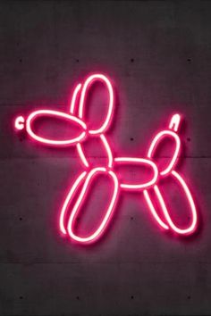 a neon sign with a dog on it's back lit up in the dark