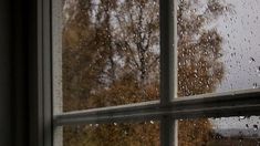 a window with rain drops on the glass and trees in the backgroung