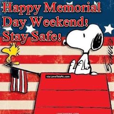 happy memorial day weekend, stay safe snoopy on the usa flag with his dog