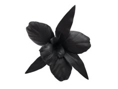 "M&S Schmalberg 6\" Black Leather Millinery Orchid Wired Fabric Flower Brooch Pin Genuine M&S Schmalberg Flower Hand-Made in New York City Garment District, Since 1916 https://www.customfabricflowers.com Want to see our factory at work? https://bit.ly/2o6iAZF As Seen in The NY Times! https://bit.ly/2nwvrHI ----------------------------------- Welcome to the Official M&S Schmalberg Etsy Shop! All of our Custom Fabric Flowers are hand made in our New York City garment district factory. Collage Fillers, Bernadette Banner, Fabric Flower Pins, Fabric Flower Brooch, Black Orchid, Leather Flowers, Design Cool, Hand Dyed Silk, Silk Dyeing