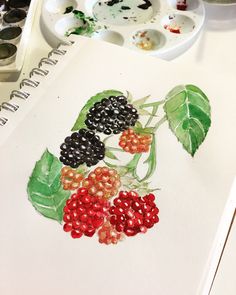 a watercolor painting of berries and leaves on a white paper next to paintbrushes