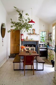 a dining room table with two chairs and a potted plant