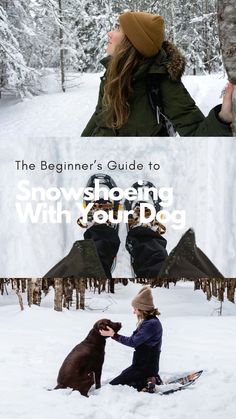 the beginner's guide to snowboarding with your dog