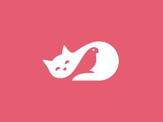 a white cat sitting on top of a pink background