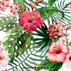 a watercolor painting of pink flowers and green leaves on a white background with the words,