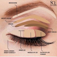 Makeup Mapping, Mua Tutorial, Makeup Theory, Kosmetyki Mary Kay, Eyebrow Makeup Tutorial, Mascara Application, Eyeshadow Tips