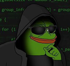 a person wearing sunglasses and a hoodie is in front of a computer code background