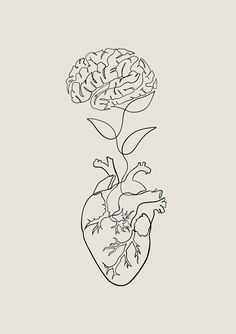 a drawing of the human heart and its branches