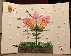 a card with parts of a flower on it